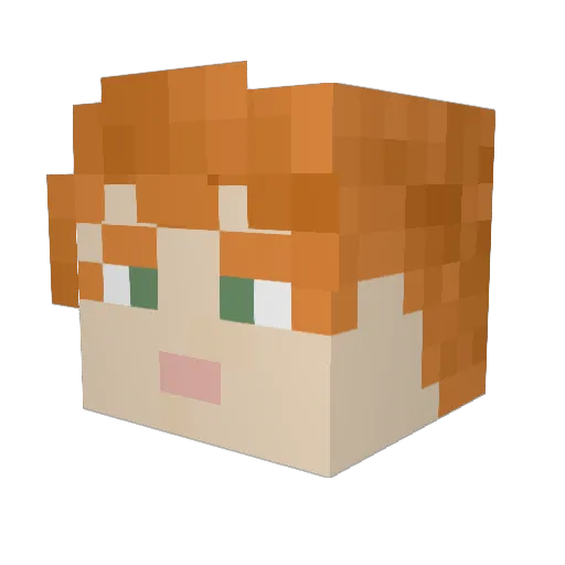 Arkinnnnn06 Minecraft avatar head, 3D render