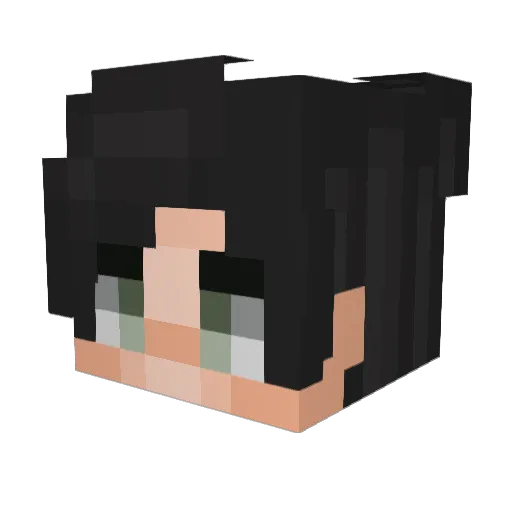 Arkitaa Minecraft avatar head, 3D render