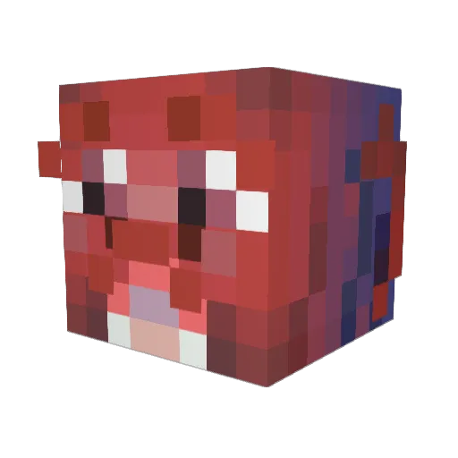 Arklaum_ Minecraft avatar head, 3D render