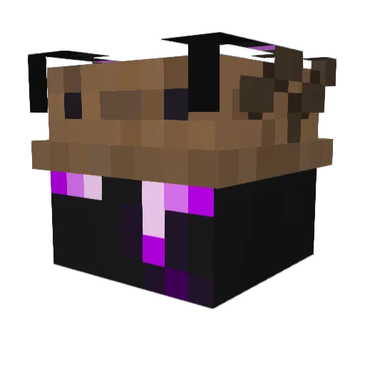 Arknein Minecraft avatar head, 3D render