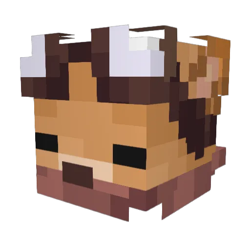 Arktic_01 Minecraft avatar head, 3D render