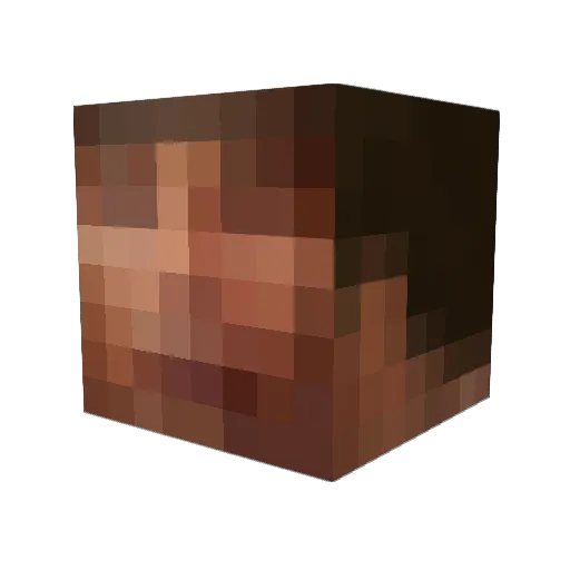 Arllynx Minecraft avatar head, 3D render
