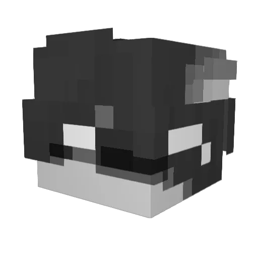Arlo_Grayson Minecraft avatar head, 3D render