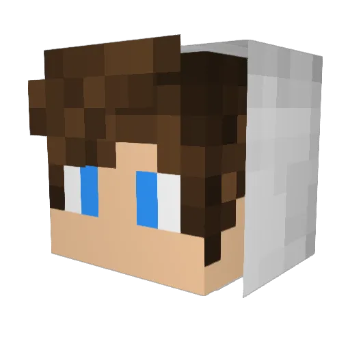 Arlo_Inara Minecraft avatar head, 3D render