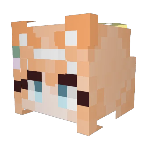 Arlse912 Minecraft avatar head, 3D render