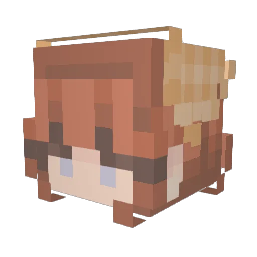 Arly11 Minecraft avatar head, 3D render
