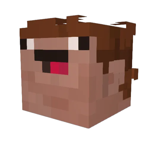 ArmadaFB Minecraft avatar head, 3D render
