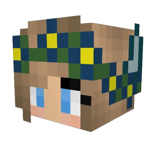 Armadillo_99 Minecraft avatar head, 3D render