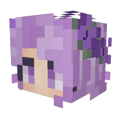 Armadillobelt Minecraft avatar head, 3D render