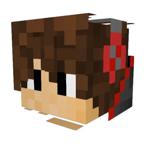 Armadylan2020 Minecraft avatar head, 3D render