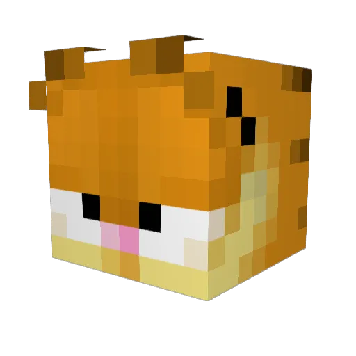 Armancs Minecraft avatar head, 3D render