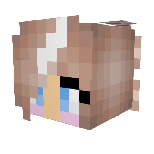Armandowand_o Minecraft avatar head, 3D render
