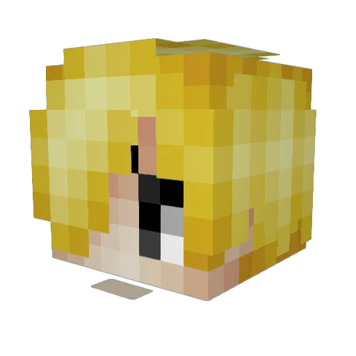 Armano11 Minecraft avatar head, 3D render