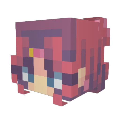 Armedolphin Minecraft avatar head, 3D render