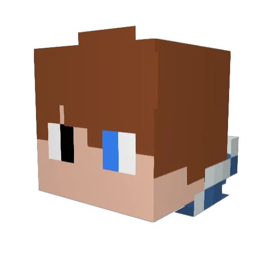 Armiin06 Minecraft avatar head, 3D render