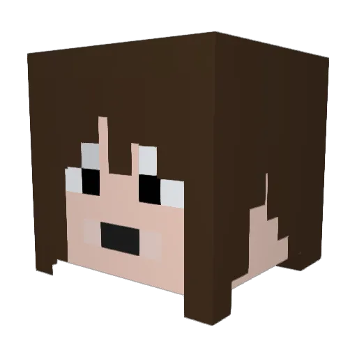 Armind Minecraft avatar head, 3D render