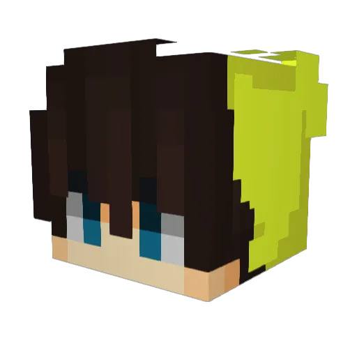 Arminkoooo Minecraft avatar head, 3D render