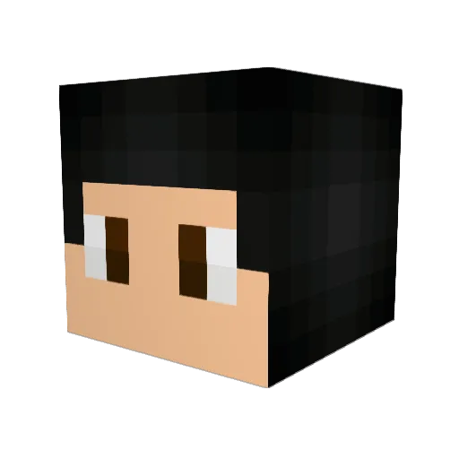 Armman95 Minecraft avatar head, 3D render