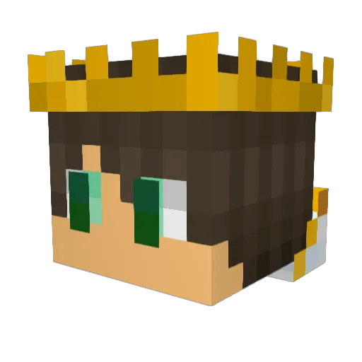 ArmyofDroids Minecraft avatar head, 3D render