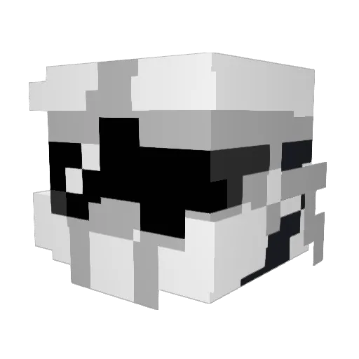 Armyskywalker Minecraft avatar head, 3D render
