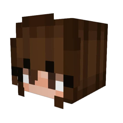 Arn0ld_ Minecraft avatar head, 3D render