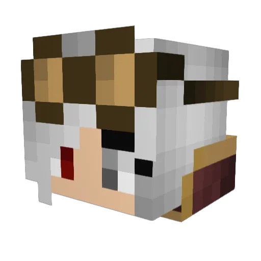 Arne836 Minecraft avatar head, 3D render