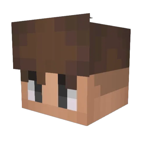 Arne_Banane2003 Minecraft avatar head, 3D render