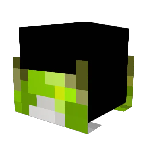 Arneclan123 Minecraft avatar head, 3D render