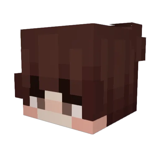 Arnemis Minecraft avatar head, 3D render