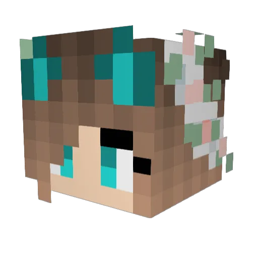 Arner0 Minecraft avatar head, 3D render