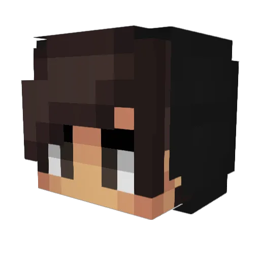 Arnheid Minecraft avatar head, 3D render