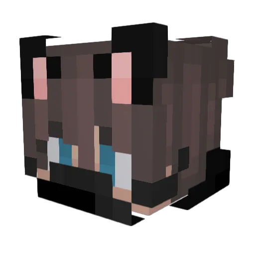 Arni6516 Minecraft avatar head, 3D render
