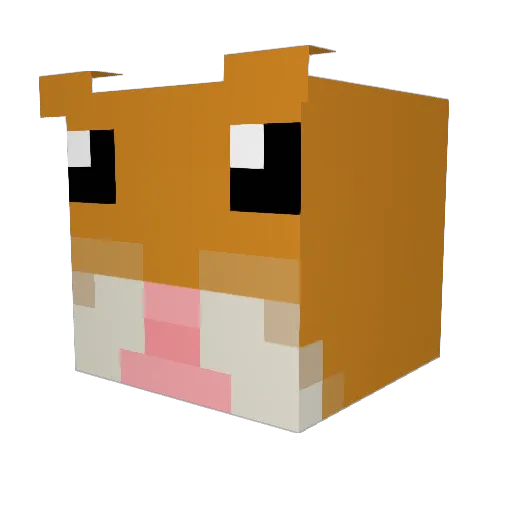 Arnibarnie Minecraft avatar head, 3D render