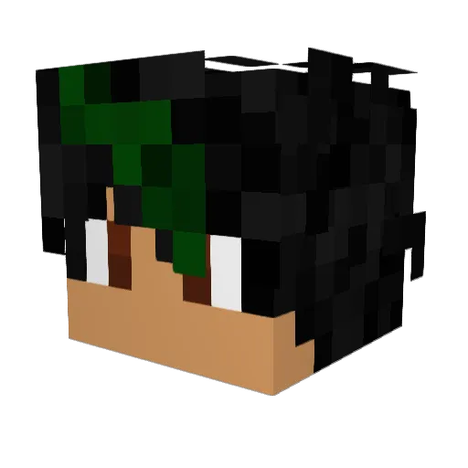 Arnie2008 Minecraft avatar head, 3D render