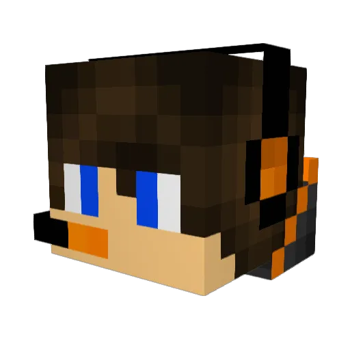 Arnie_69 Minecraft avatar head, 3D render