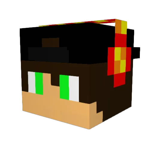 Arnimaus300303 Minecraft avatar head, 3D render