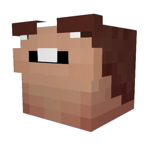 Arnixlol Minecraft avatar head, 3D render
