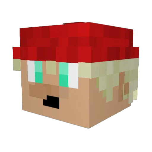 Arnor005 Minecraft avatar head, 3D render