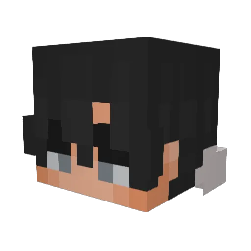 Arnor2004 Minecraft avatar head, 3D render