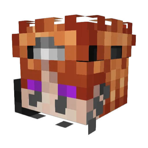 Arnor420 Minecraft avatar head, 3D render