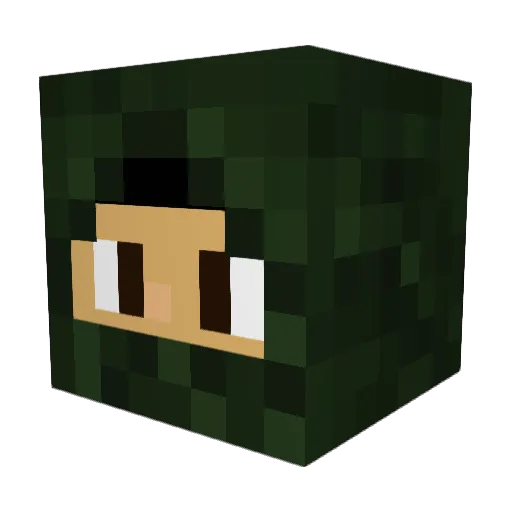 Arnor77 Minecraft avatar head, 3D render