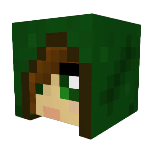 Arnorr1990 Minecraft avatar head, 3D render