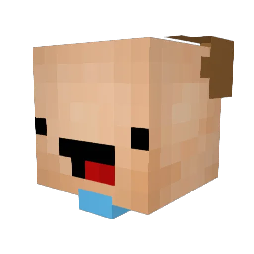ArnyGaming Minecraft avatar head, 3D render
