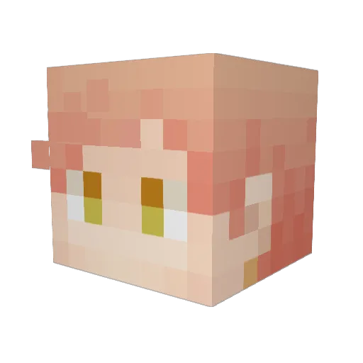 AroAlts Minecraft avatar head, 3D render