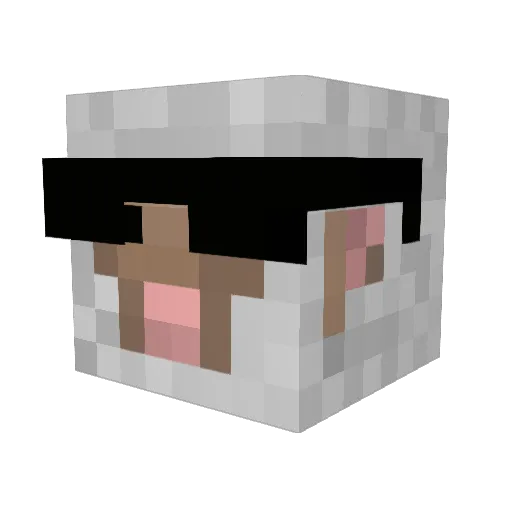 AroMatize Minecraft avatar head, 3D render