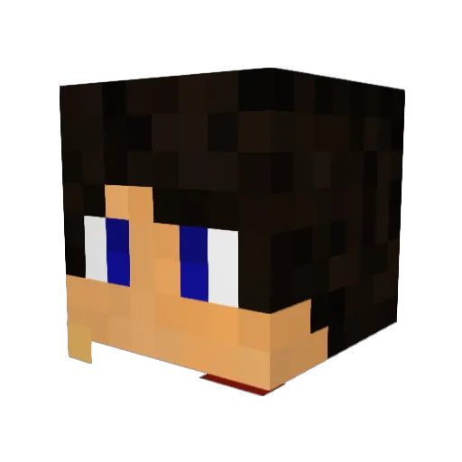 Aro_Panda Minecraft avatar head, 3D render