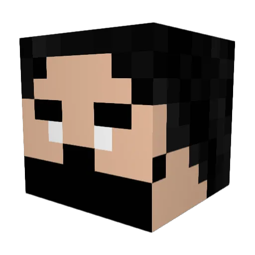 Aroarlan Minecraft avatar head, 3D render