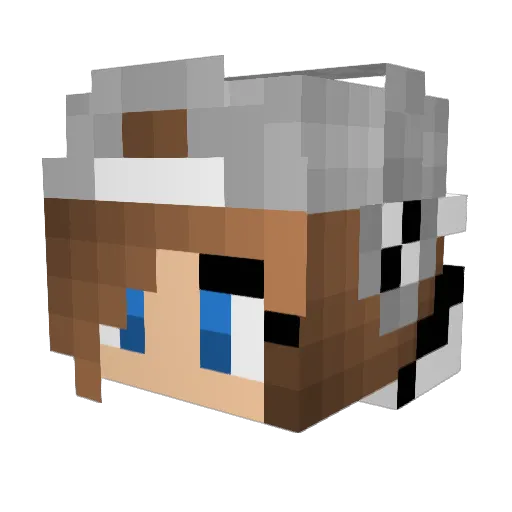 Arodgrs Minecraft avatar head, 3D render