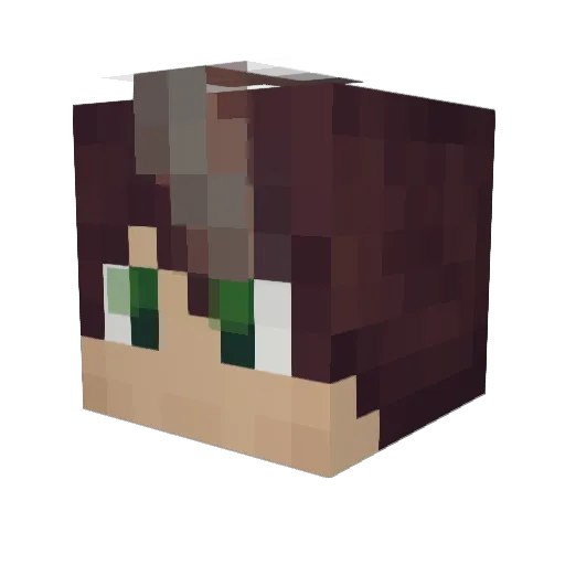 Aron078 Minecraft avatar head, 3D render