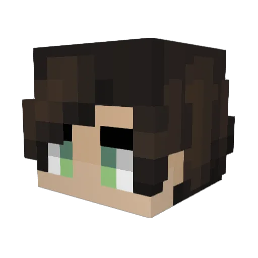 Aron234_ Minecraft avatar head, 3D render